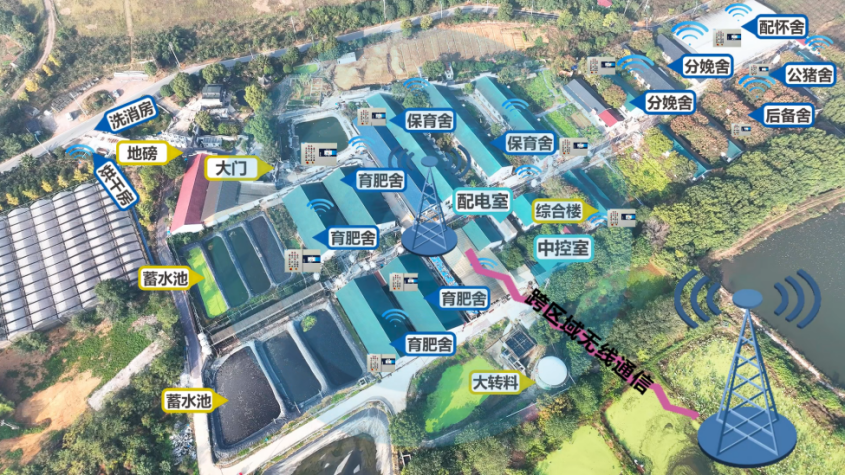 图片18.png